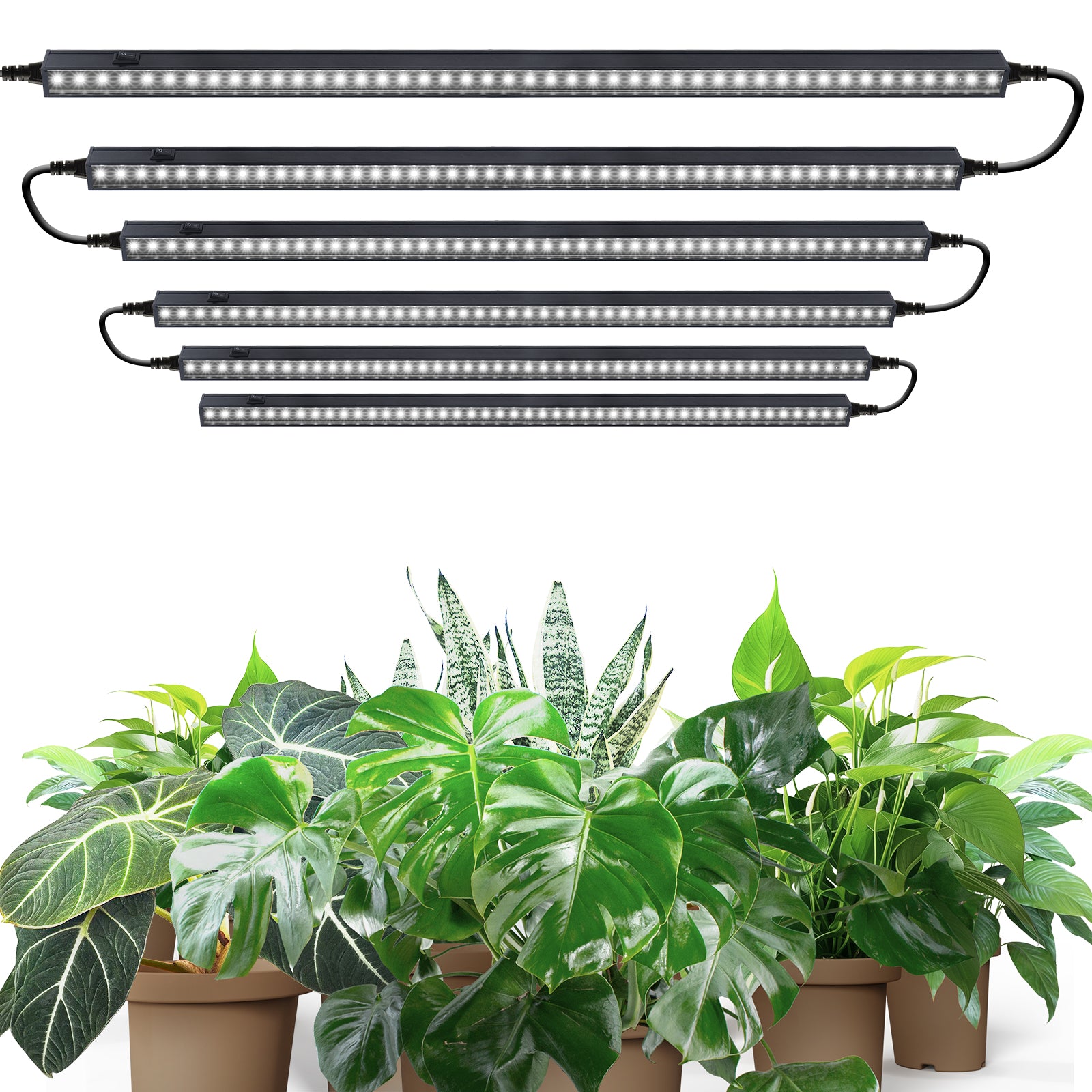 Barrina T5 10W LED Grow Lights 2FT 5000K | Magnetic Installation & Linkable | NF10
