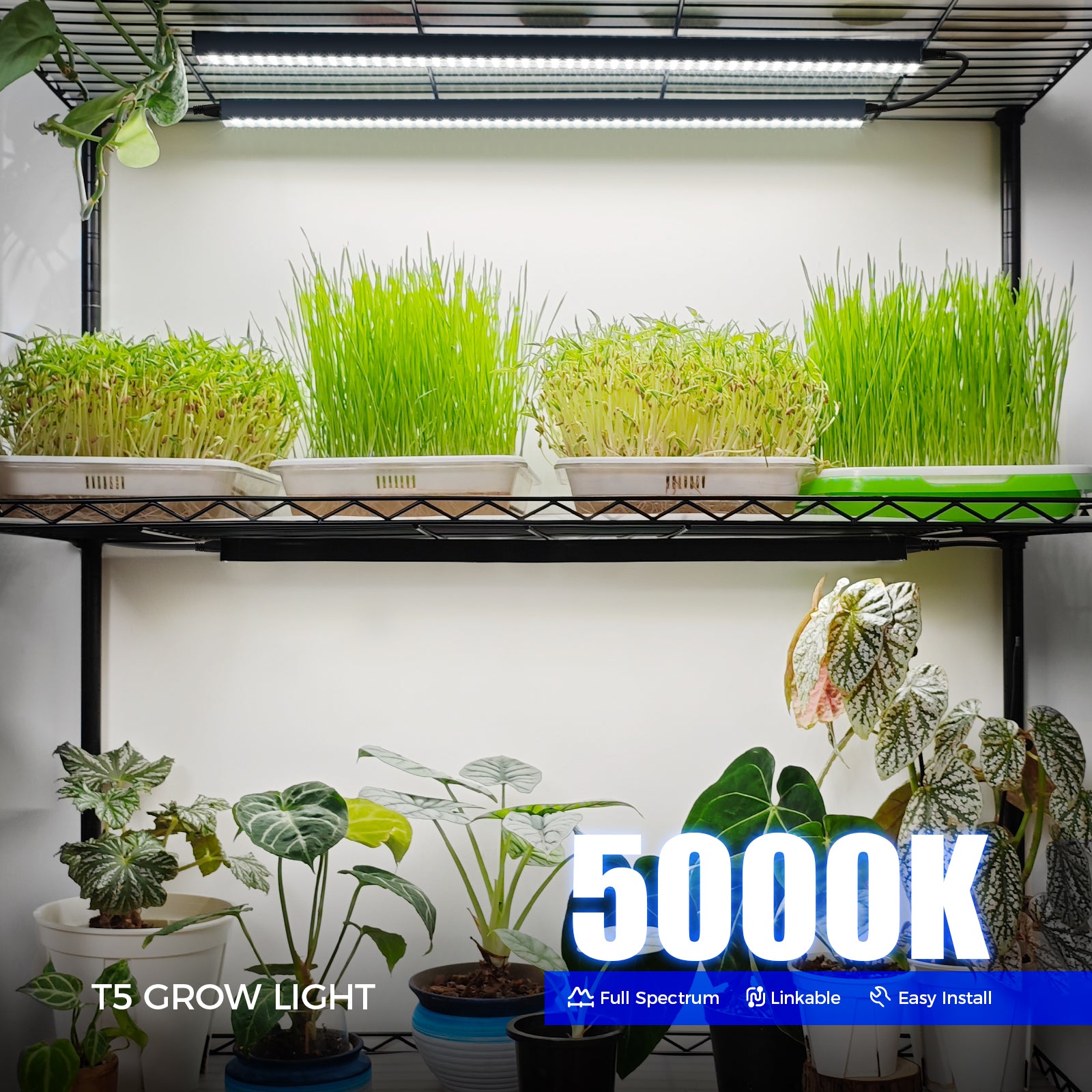 Barrina T5 10W LED Grow Lights 2FT 5000K | Magnetic Installation & Linkable | NF10