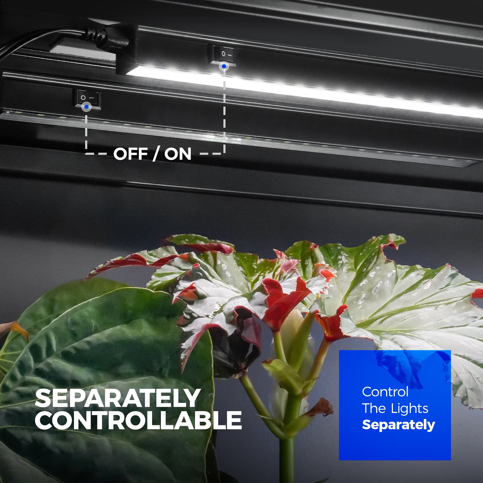 Barrina T5 10W LED Grow Lights 2FT 5000K | Magnetic Installation & Linkable | NF10
