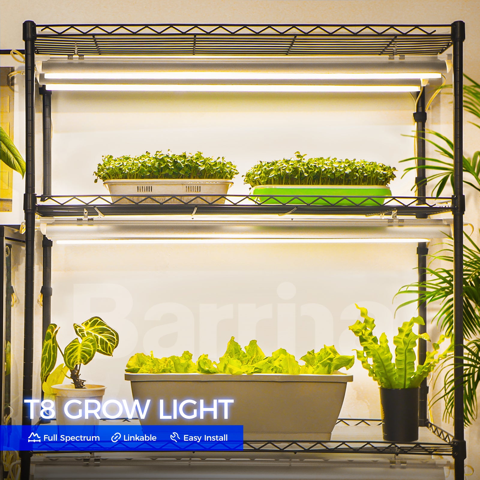 Barrina T8 30W LED Grow Lights 3FT Yellow Light | Reflectors & Linkable | QI30