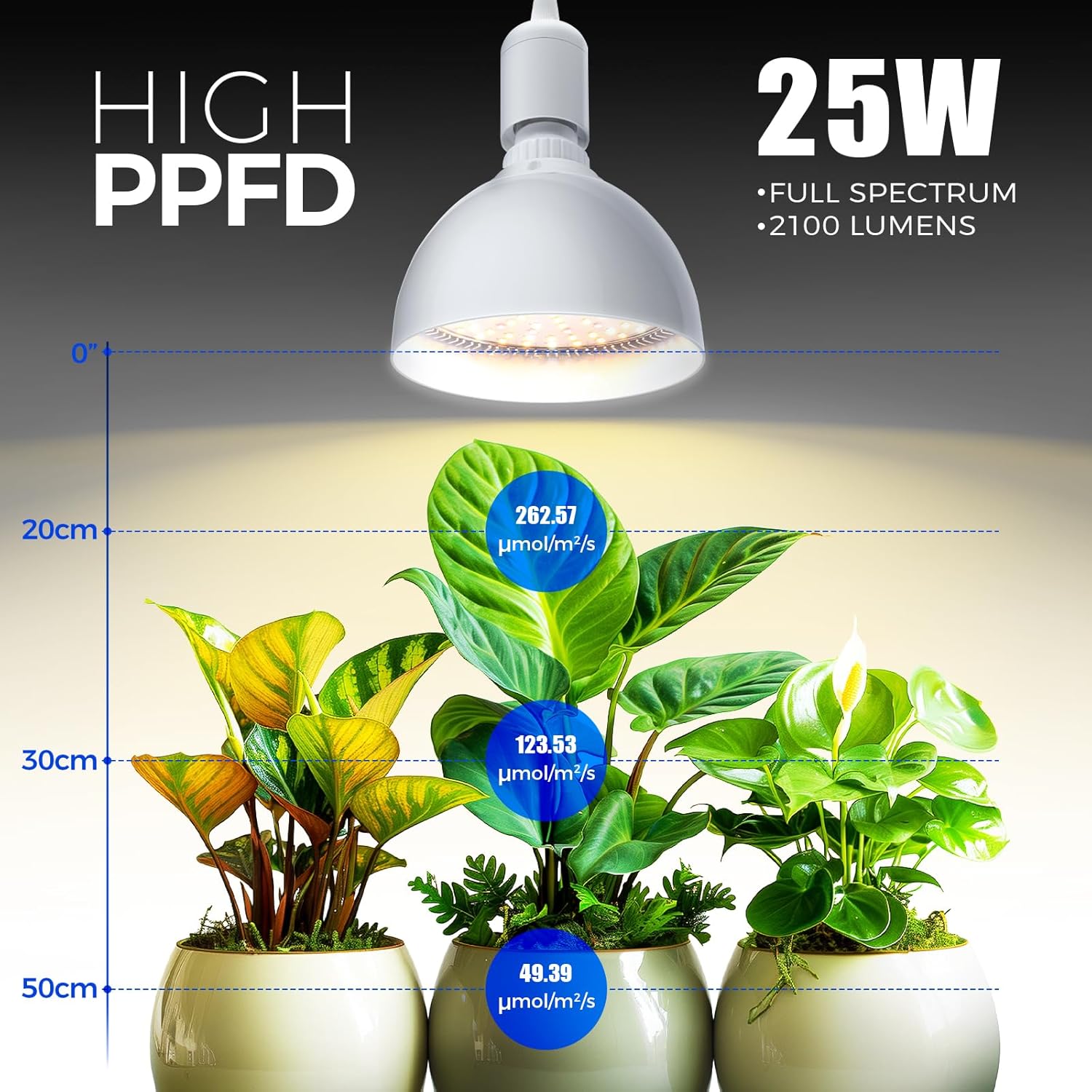 Barrina PAR38 25W LED Hanging Grow Light Yellow Light | Full Spectrum & Timer | TB25