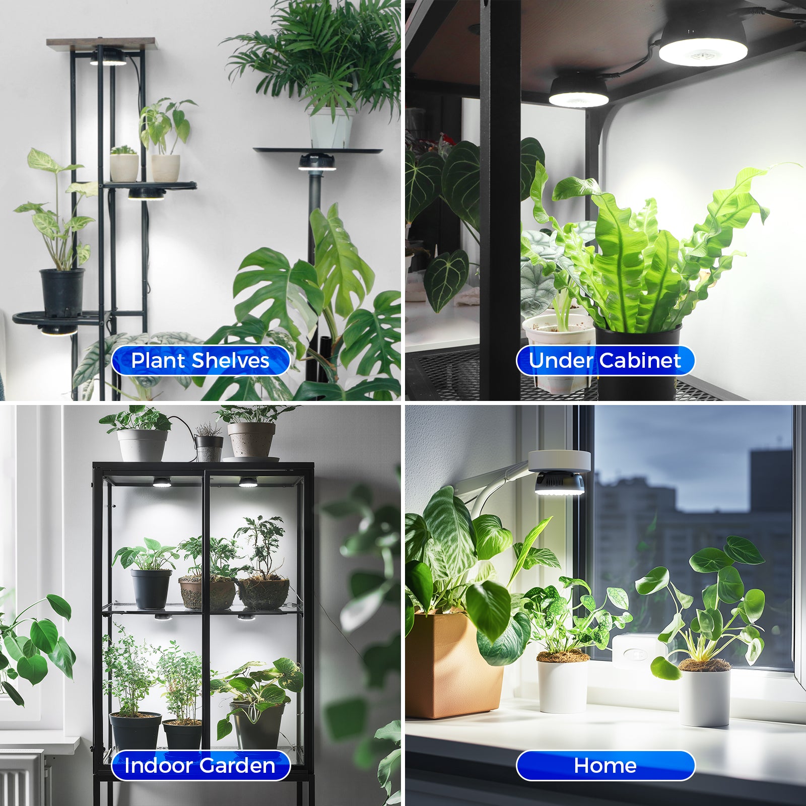Barrina OG09 Orbgrow Series 9W Puck LED Grow Lights 5000K | Magnetic & Linkable (Black Color))