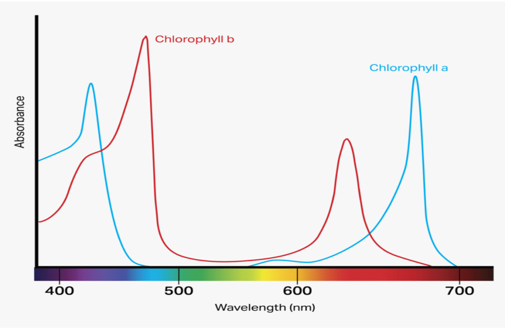 Ultraviolet Light Spectrum Chart What Is UV? — Science Learning Hub