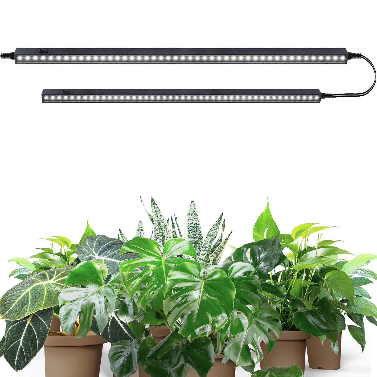 Barrina T5 10W LED Grow Lights 2FT 5000K | LED Grow Light Strips