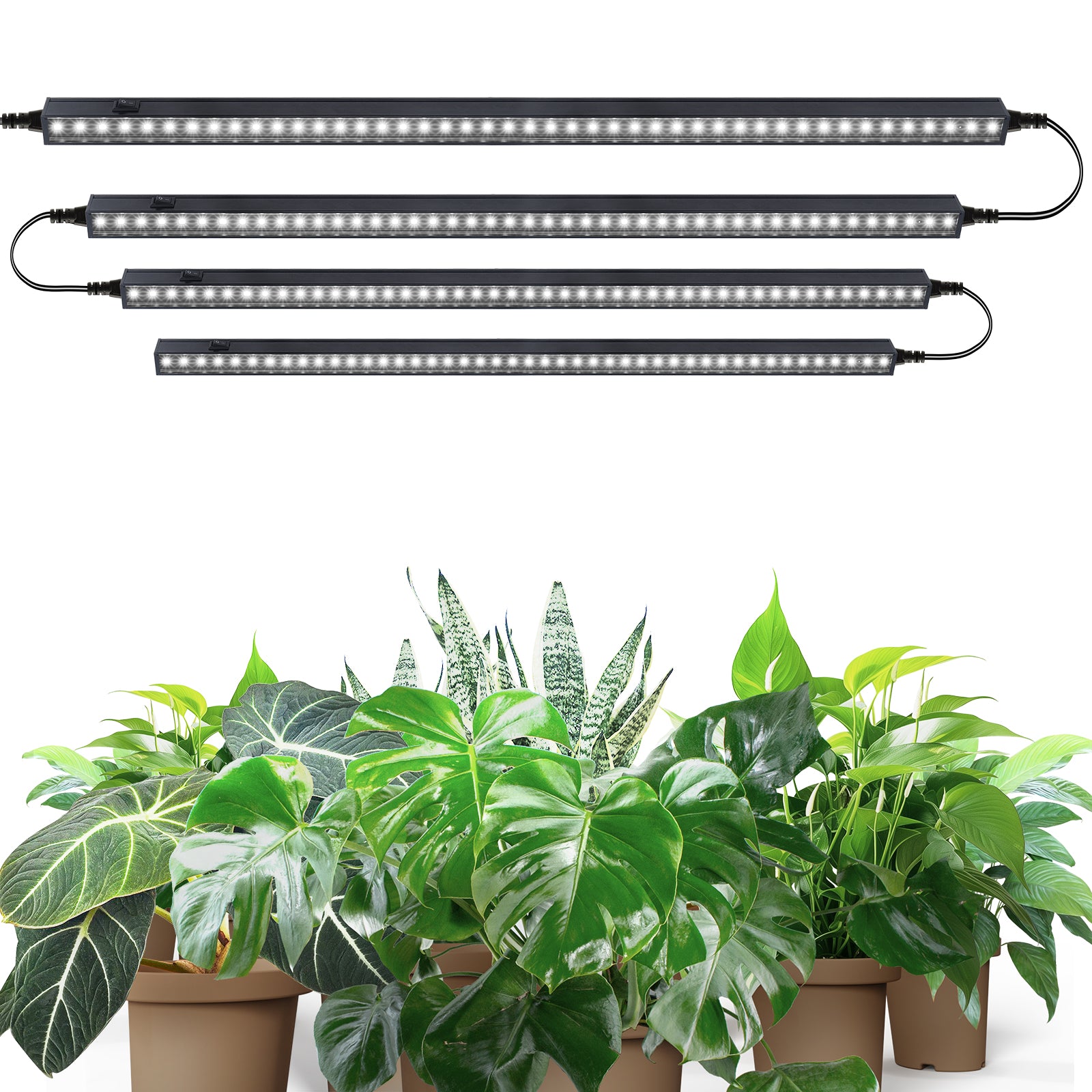 Barrina T5 10W LED Grow Lights 2FT 5000K | LED Grow Light Strips