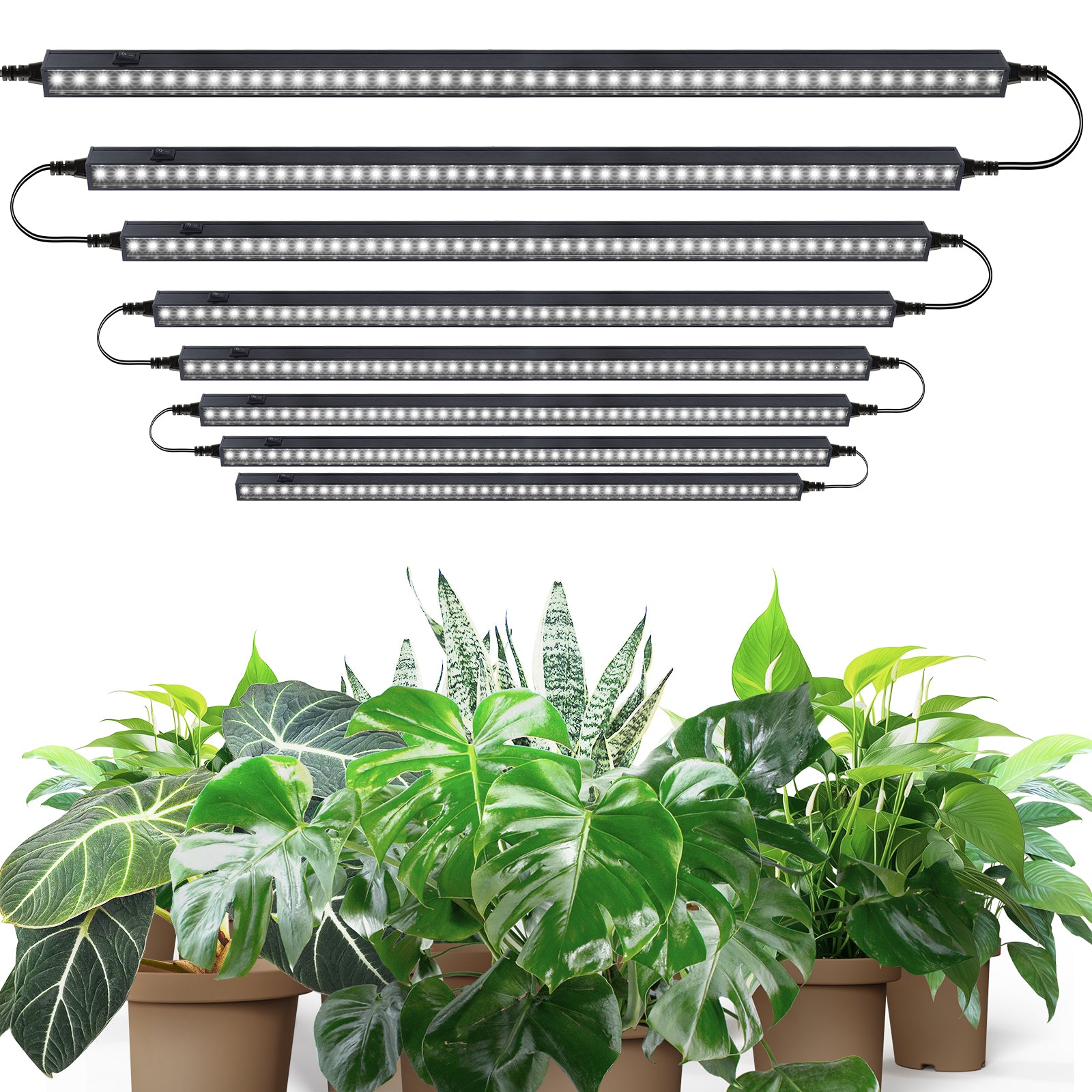 Barrina T5 10W LED Grow Lights 2FT 5000K | LED Grow Light Strips