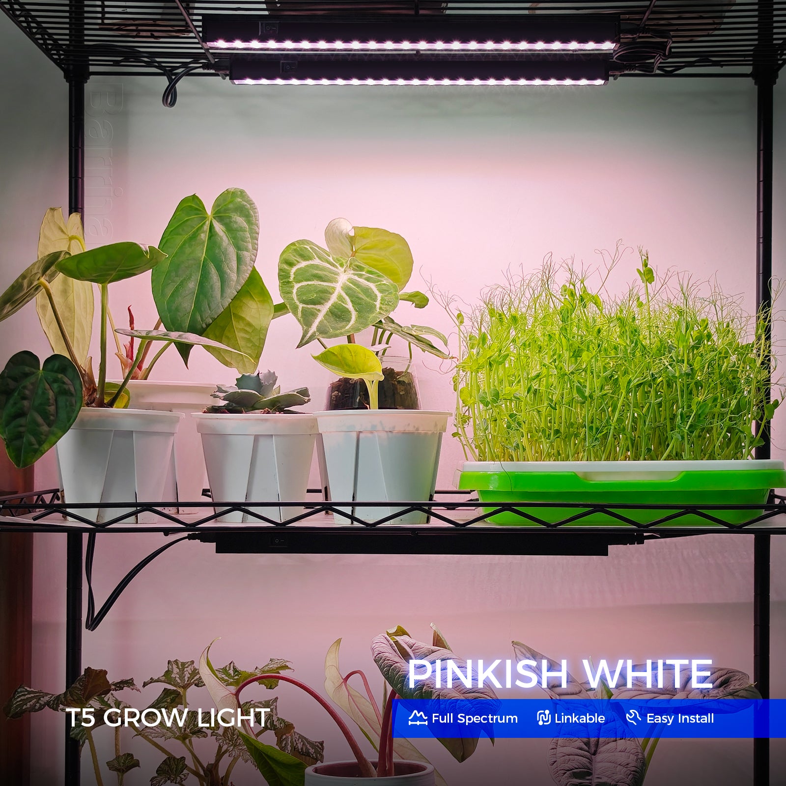 Barrina T5 5W LED Grow Lights 1FT Pinkish White | Magnetic Installation & Linkable | NC05