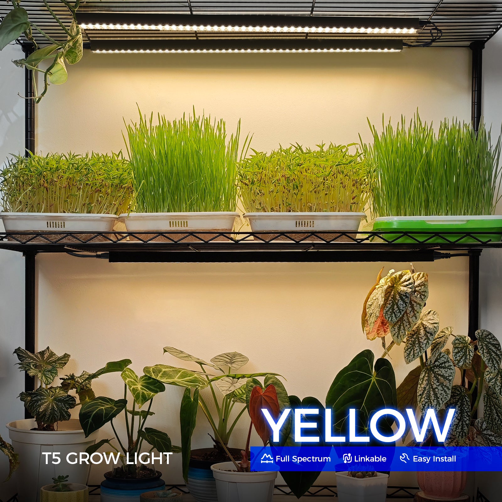 Barrina T5 10W LED Grow Light 2FT Yellow Light | Magnetic Installation & Linkable | NF10