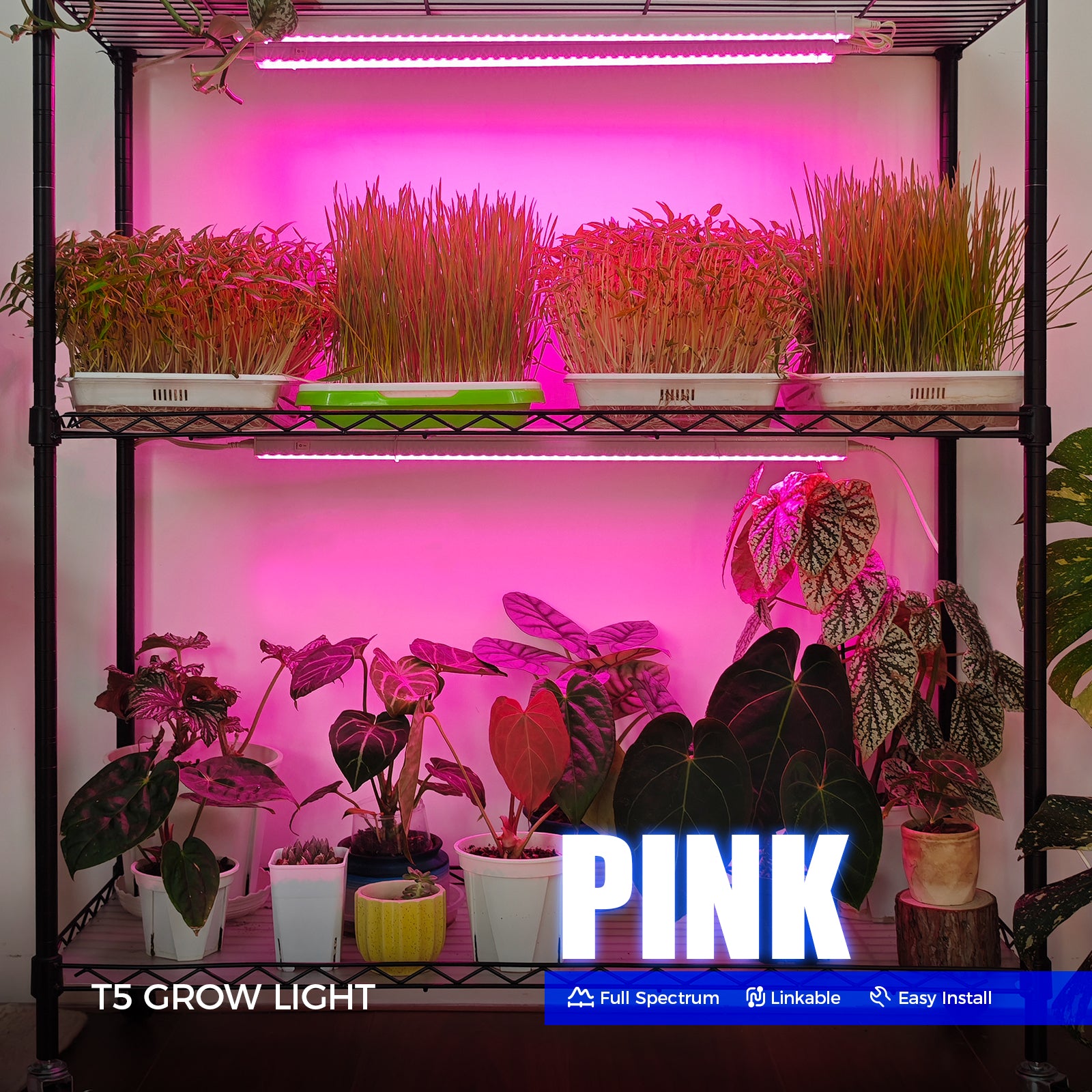 Barrina T5 10W LED Grow Lights 2FT Pink Light | Linkable | MF10