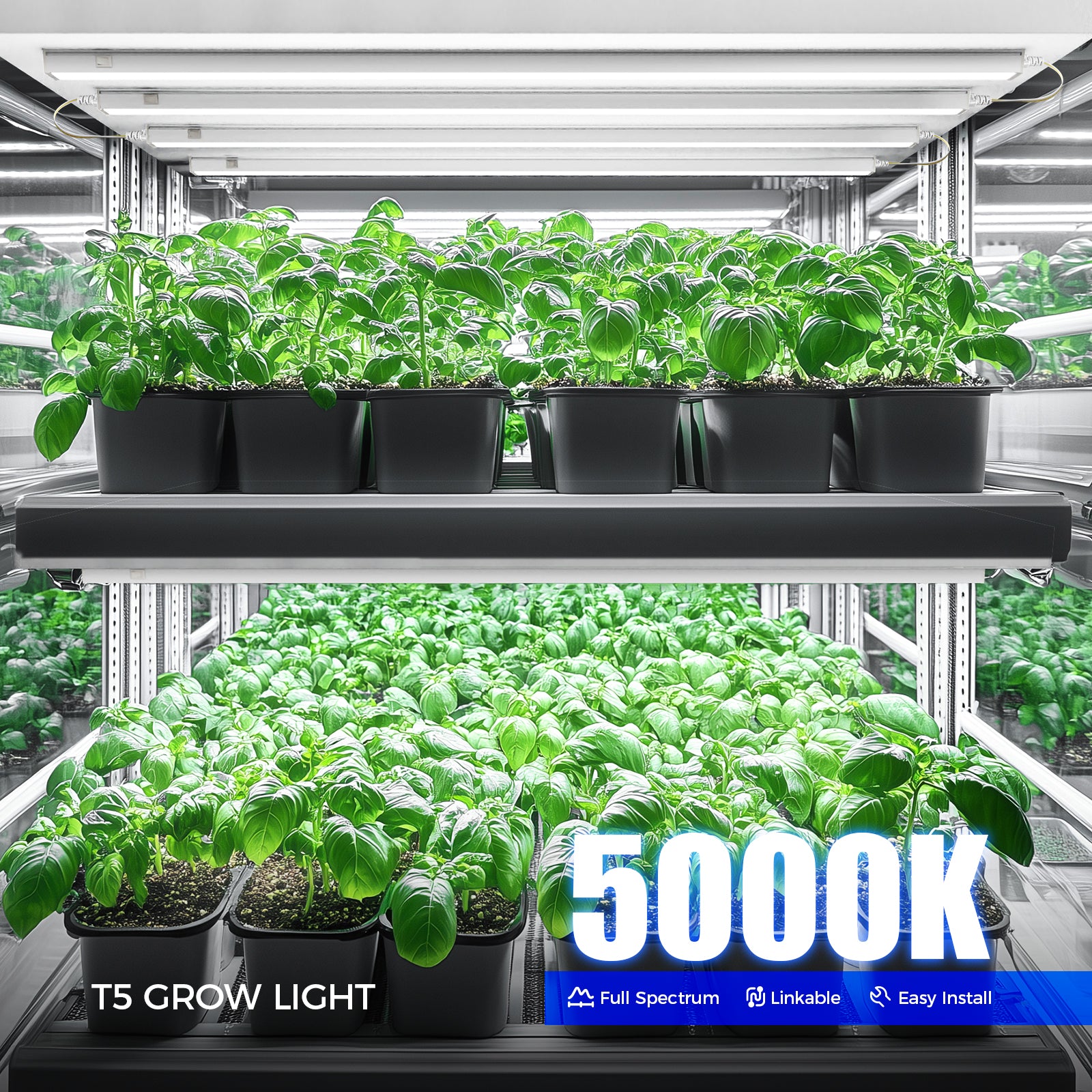 Barrina T5 20W LED Grow Light 4FT 5000K | Full Spectrum & Linkable | ML20