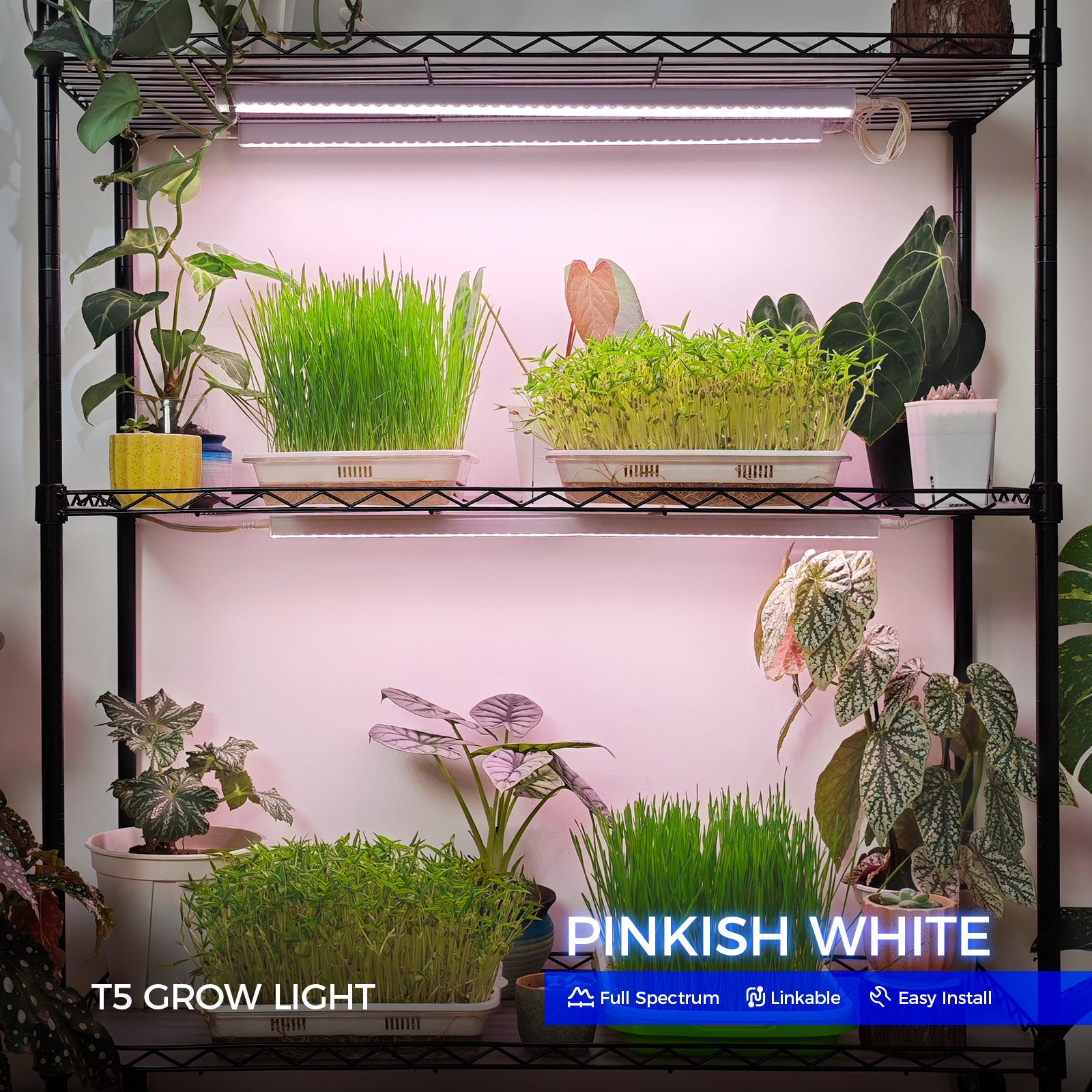 Barrina T5 10W LED Grow Lights 2FT Pinkish White | Linkable | MF10