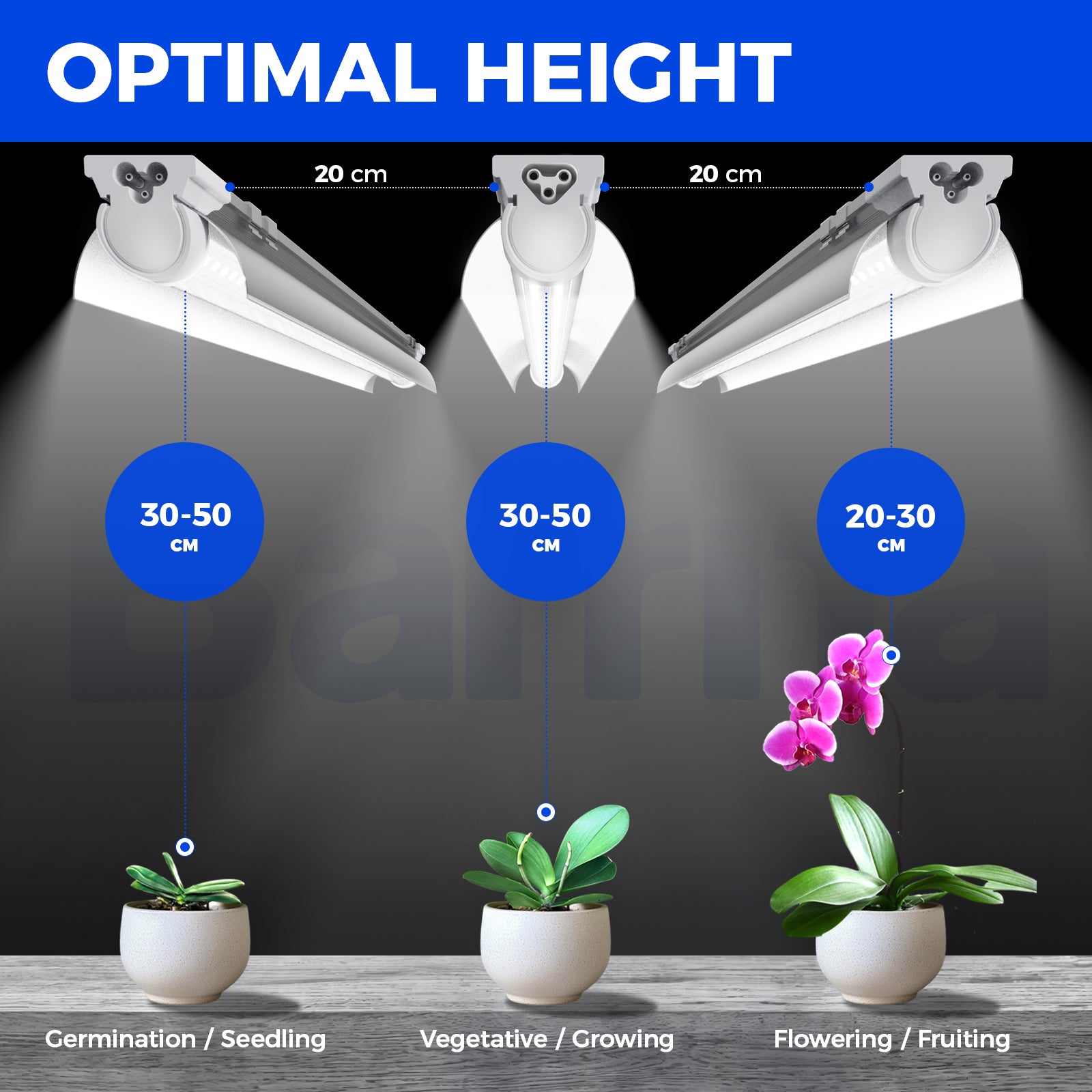 Barrina T8 30W LED Grow Lights 3FT 5000K | Reflectors & Linkable | QI30