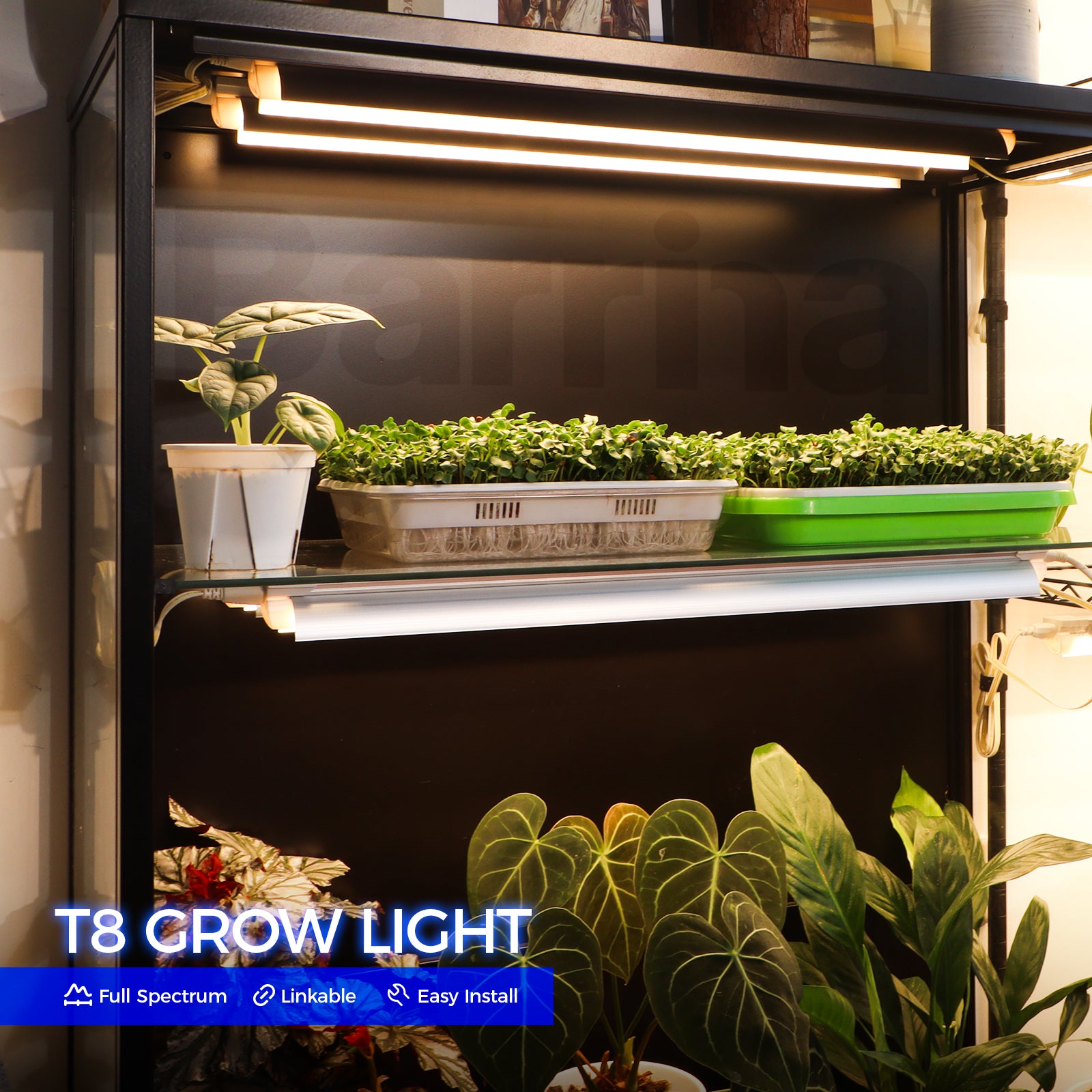 Barrina T8 24W LED Grow Lights 2FT Yellow Light | Reflectors & Linkable | QF24