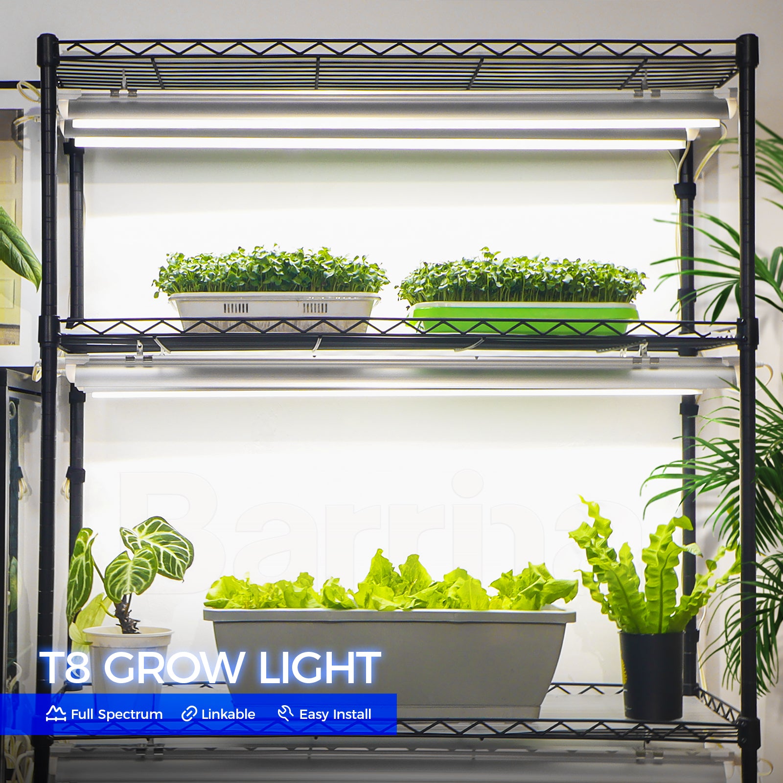 Barrina T8 30W LED Grow Lights 3FT 5000K | Reflectors & Linkable | QI30