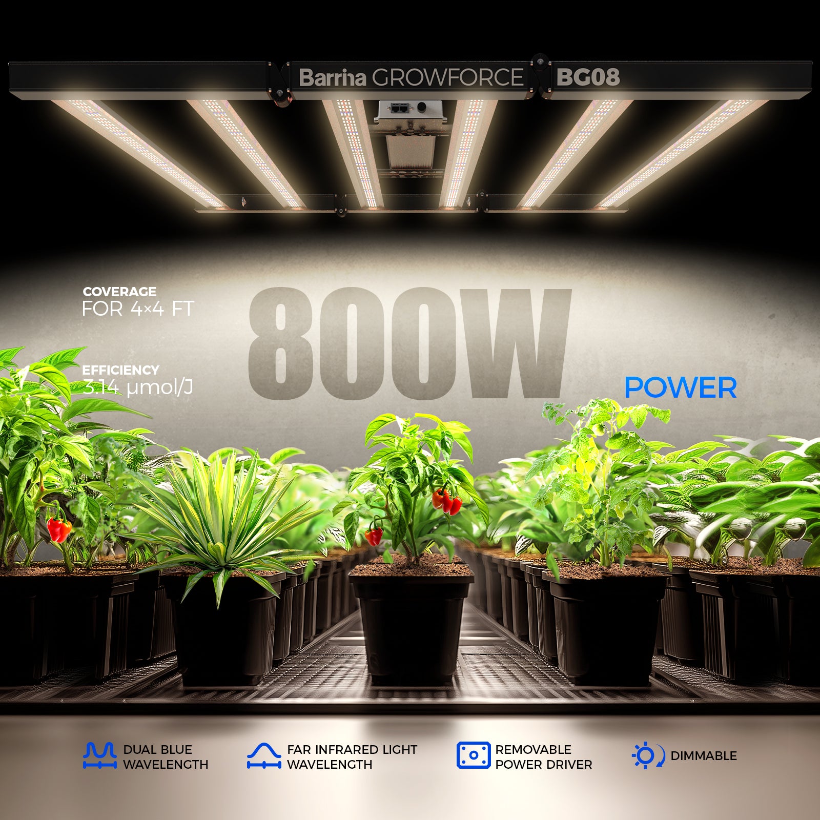 Barrina GrowForce 800W LED Commercial Grow Light Dual Blue & FIR Light | Dimmable & High PPFD | BG08