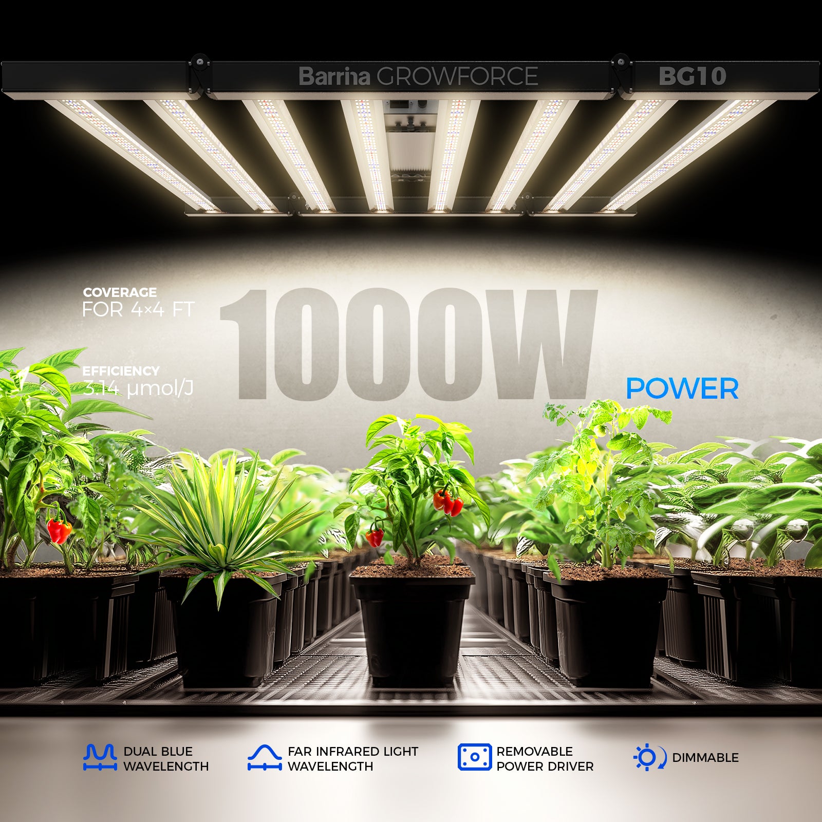 Barrina GrowForce 1000W LED Commercial Grow Light Dual Blue & FIR Light | Dimmable & High PPFD | BG10