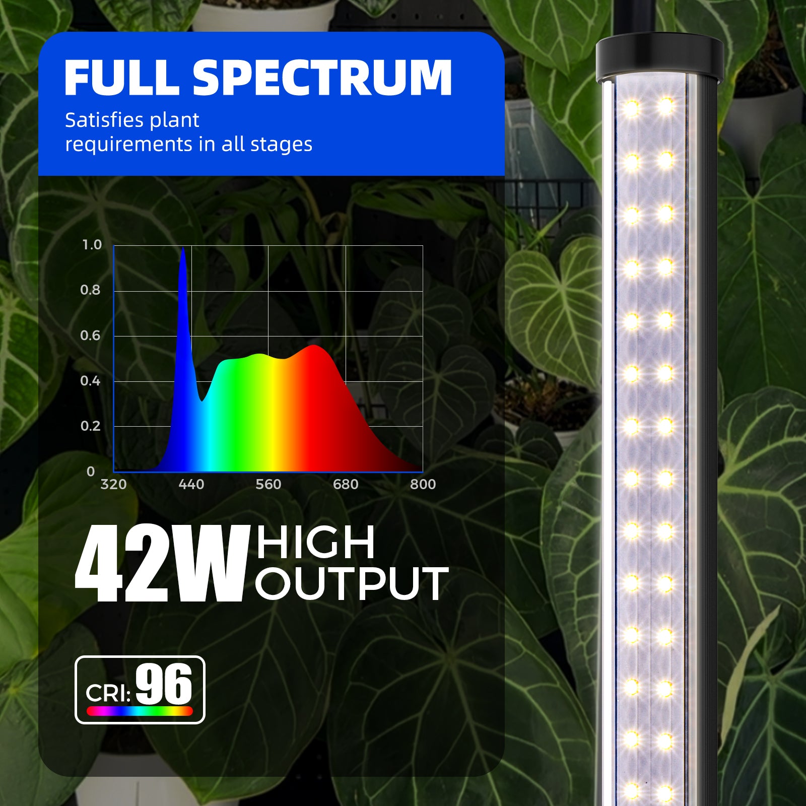 Barrina T10 Pro 42W LED Standing Grow Light 4FT-5.6FT 5000K | Timer & Full Spectrum