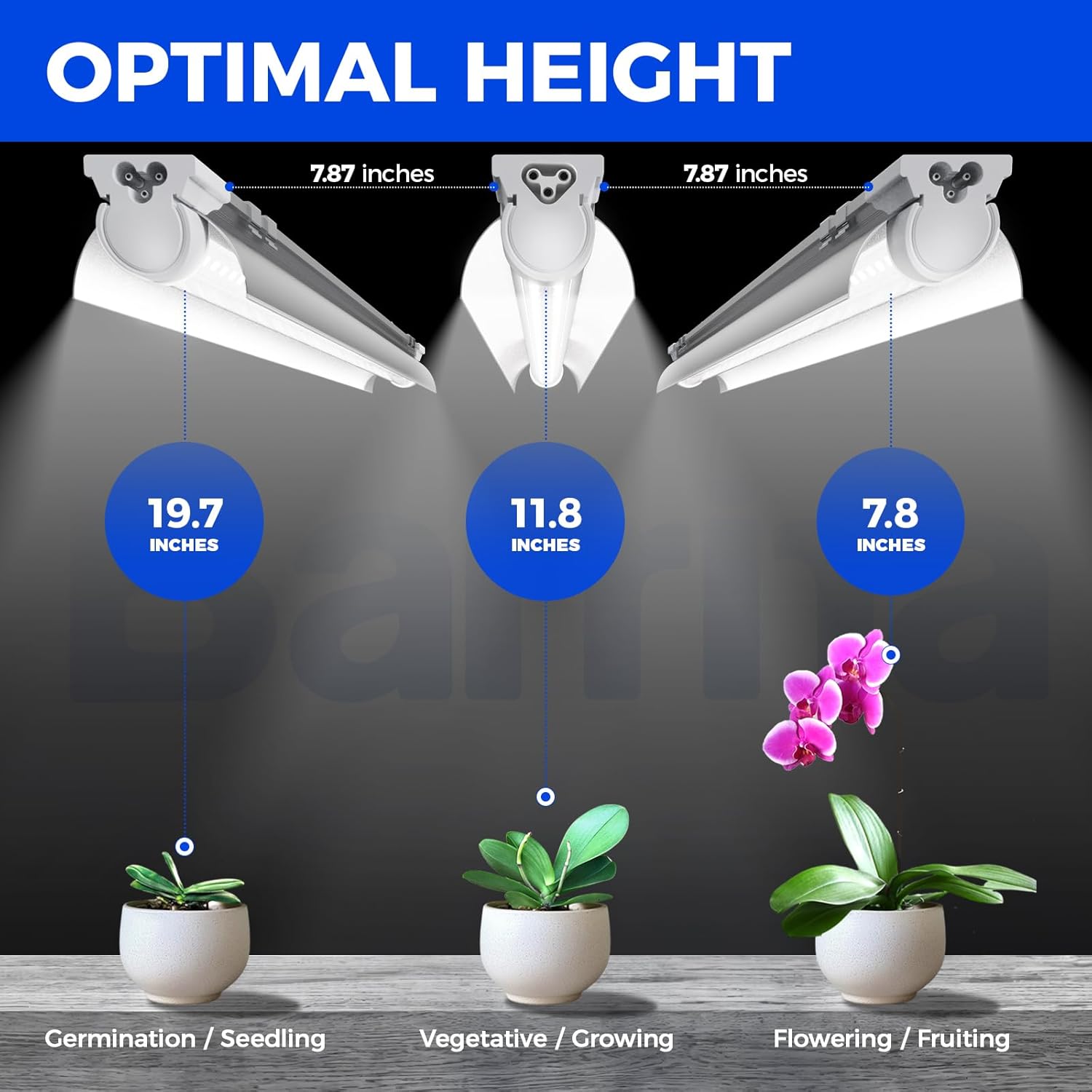 Barrina T8 15W LED Grow Light 1FT 5000K | Reflectors & Linkable | QC15