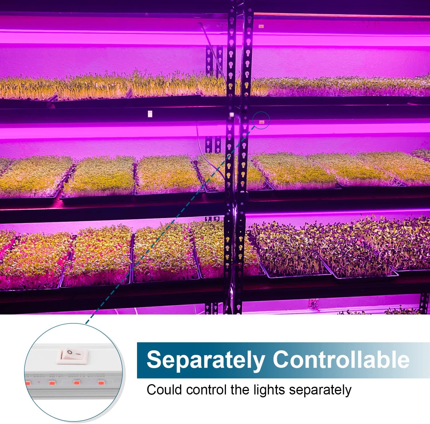 T5 LED Grow Light,2FT,10W,Spectrum,MF10