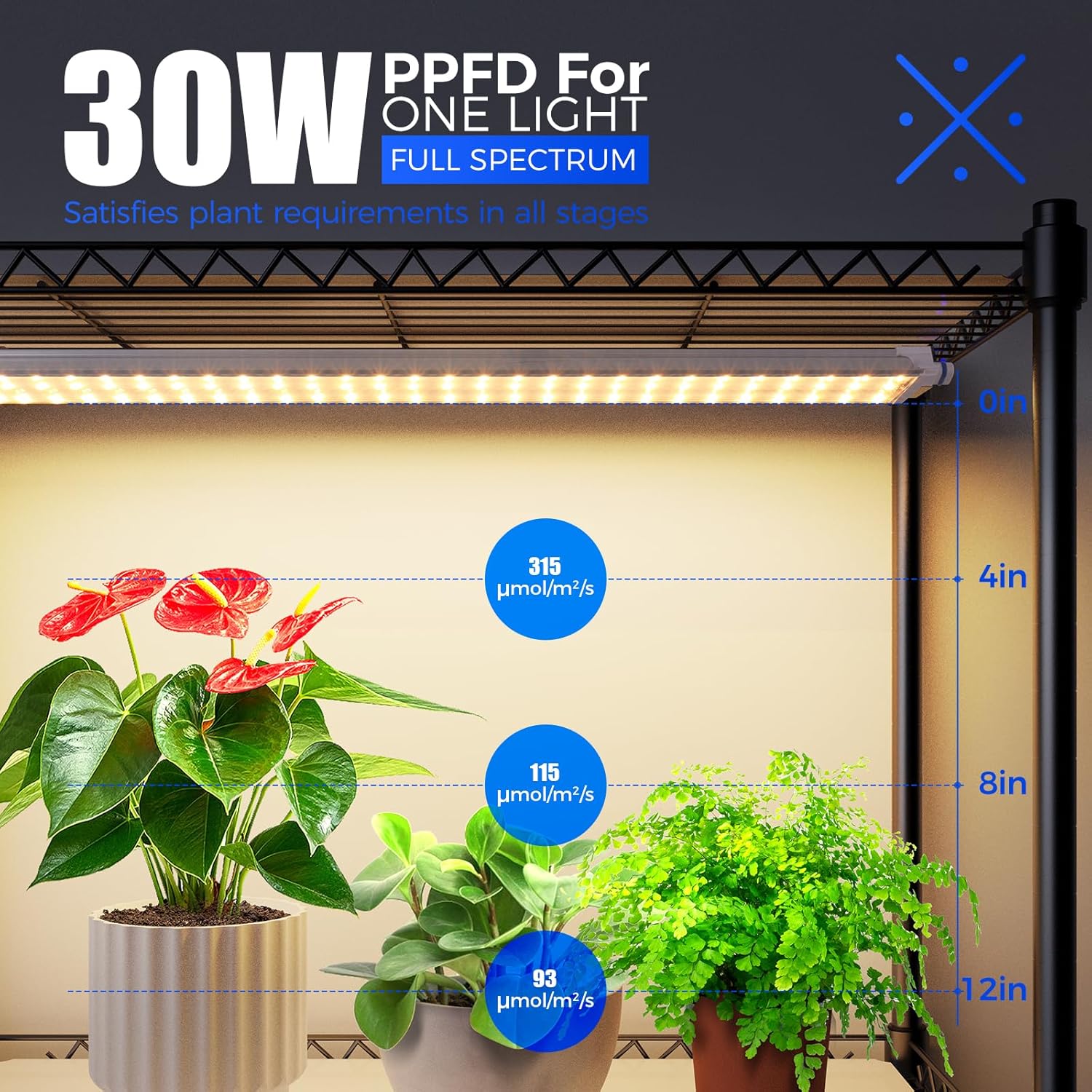 Barrina T5 6-Tier Plant Stand with 5Pcs 30W LED Grow Lights 2FT 3-Spectrum | Timer | WF30