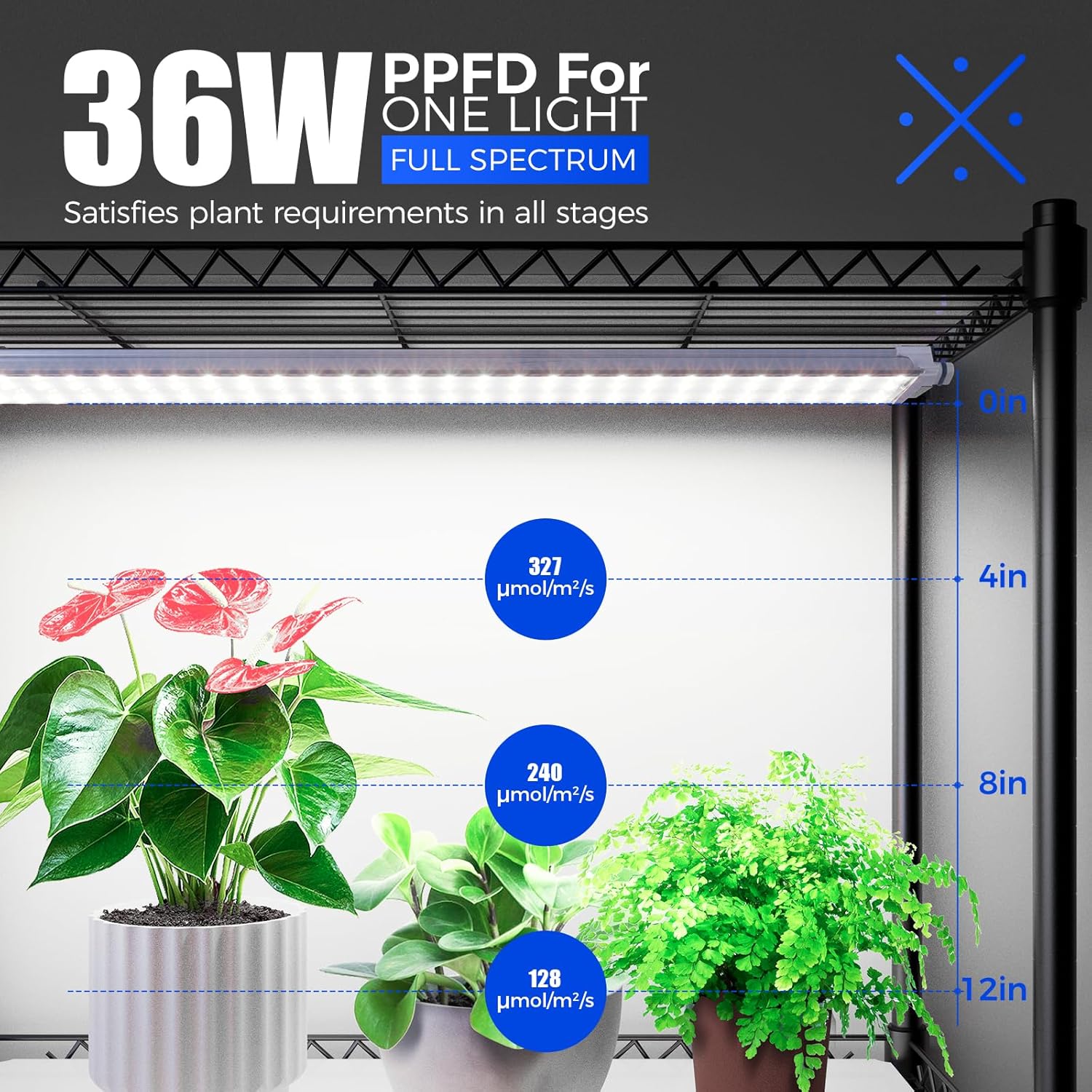 Barrina T5 4-Tier Plant Stand with 3Pcs 36W LED Grow Lights 3FT 5000K | Full Spectrum & Mechanical Timer | WI36