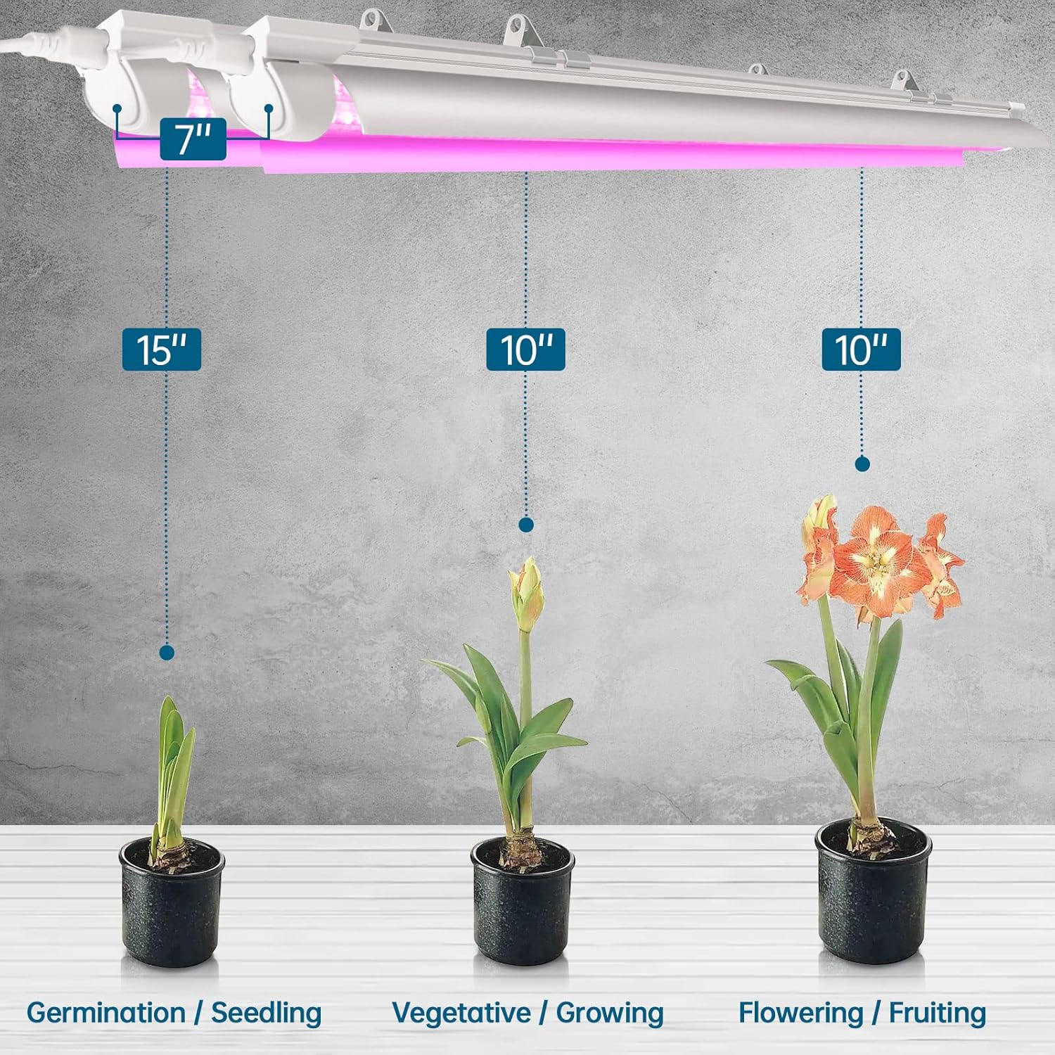 Barrina T8 24W LED Grow Light 2FT Pink Light | Reflectors & Linkable | QF24