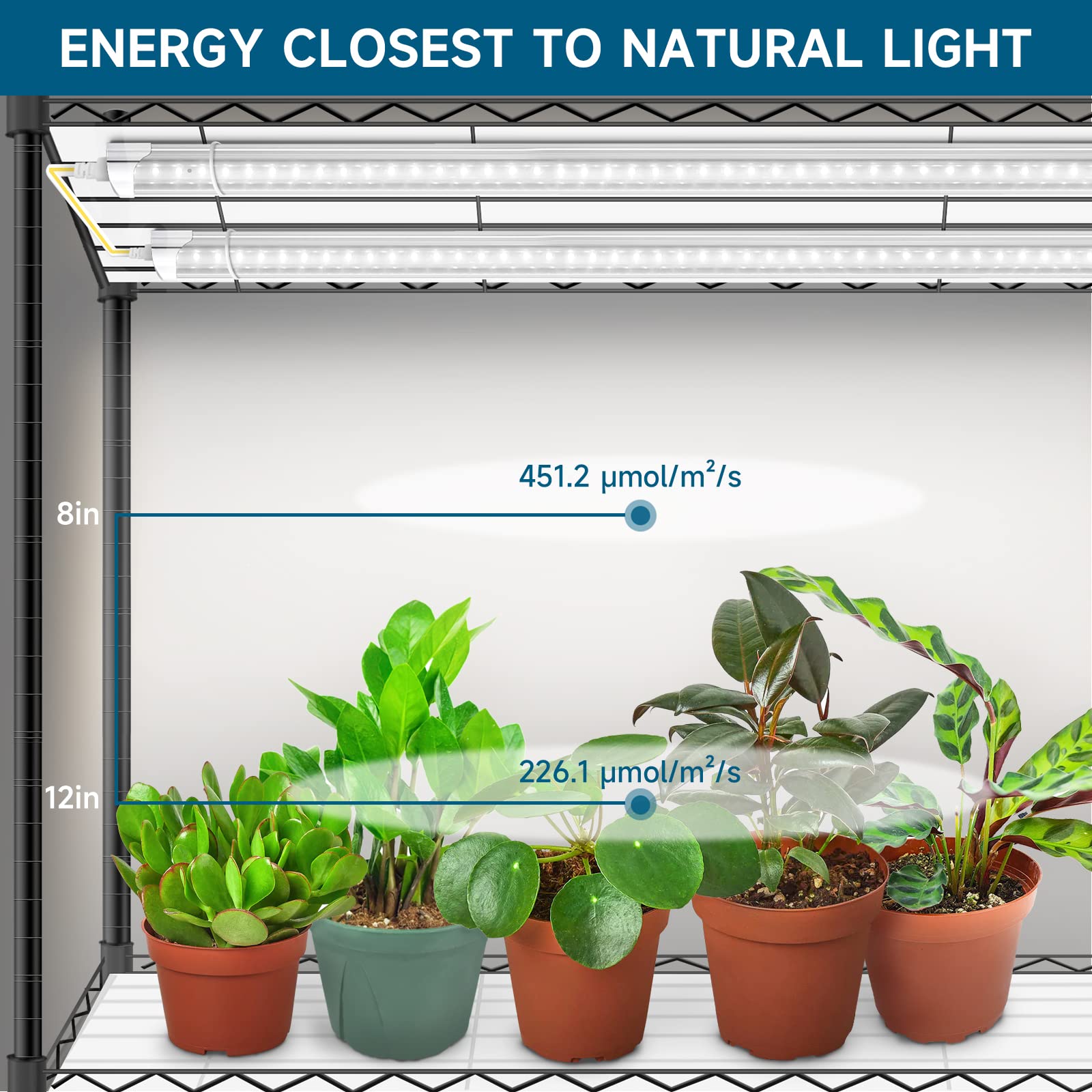 4-Tier Plant Stand with T8 LED Grow Lights,35.4"x13.8"x59",30W,5000K,6 lights,CJ30ICO