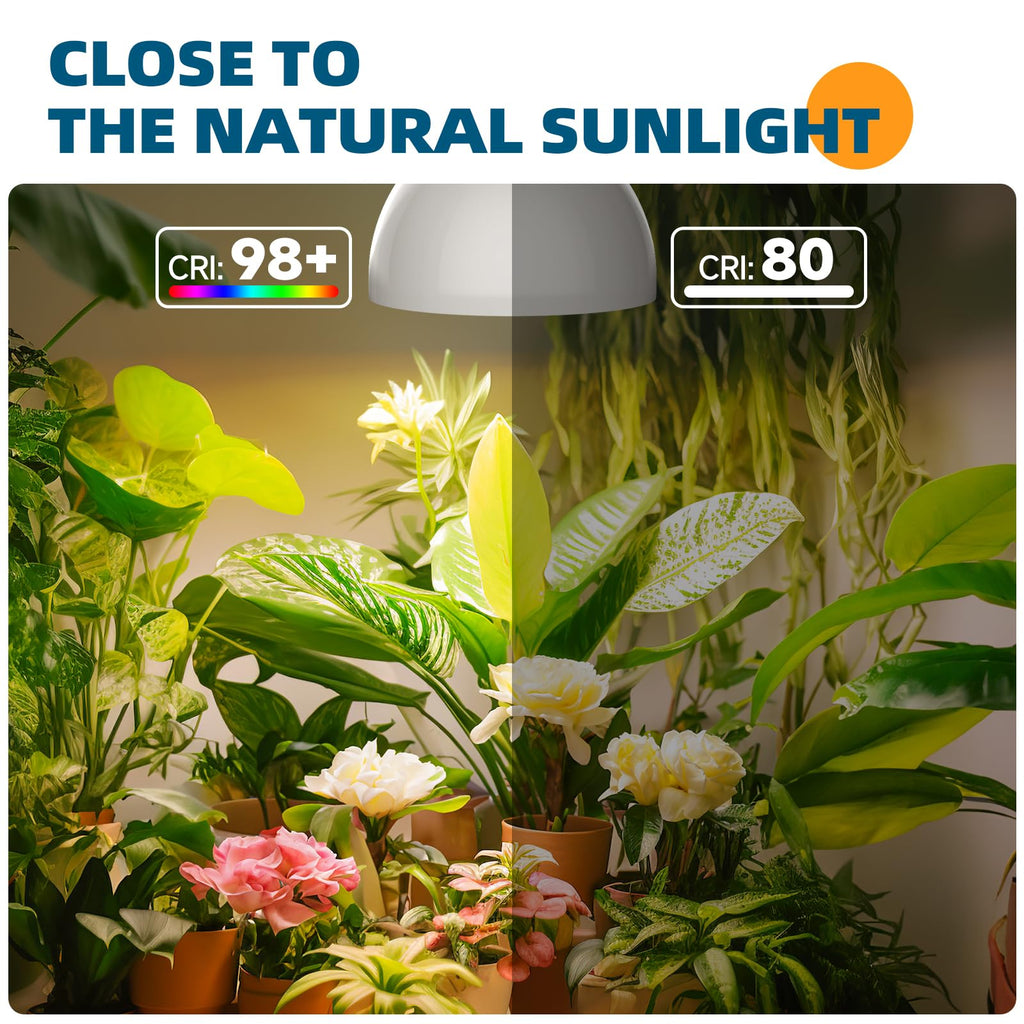 Barrina LED Grow Light Bulb, 50W, with 16.4FT Power Cord, Hanging Large Tall Plant, Garden, Flowers, Greenhouse, 2-Head