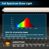 Barrina T5 Grow Lights, 2ft 90W (6 x 15W, 560W Equivalent), 4/9/14H Auto On/Off Timer, Plug and Play, Yellow, 6-Pack
