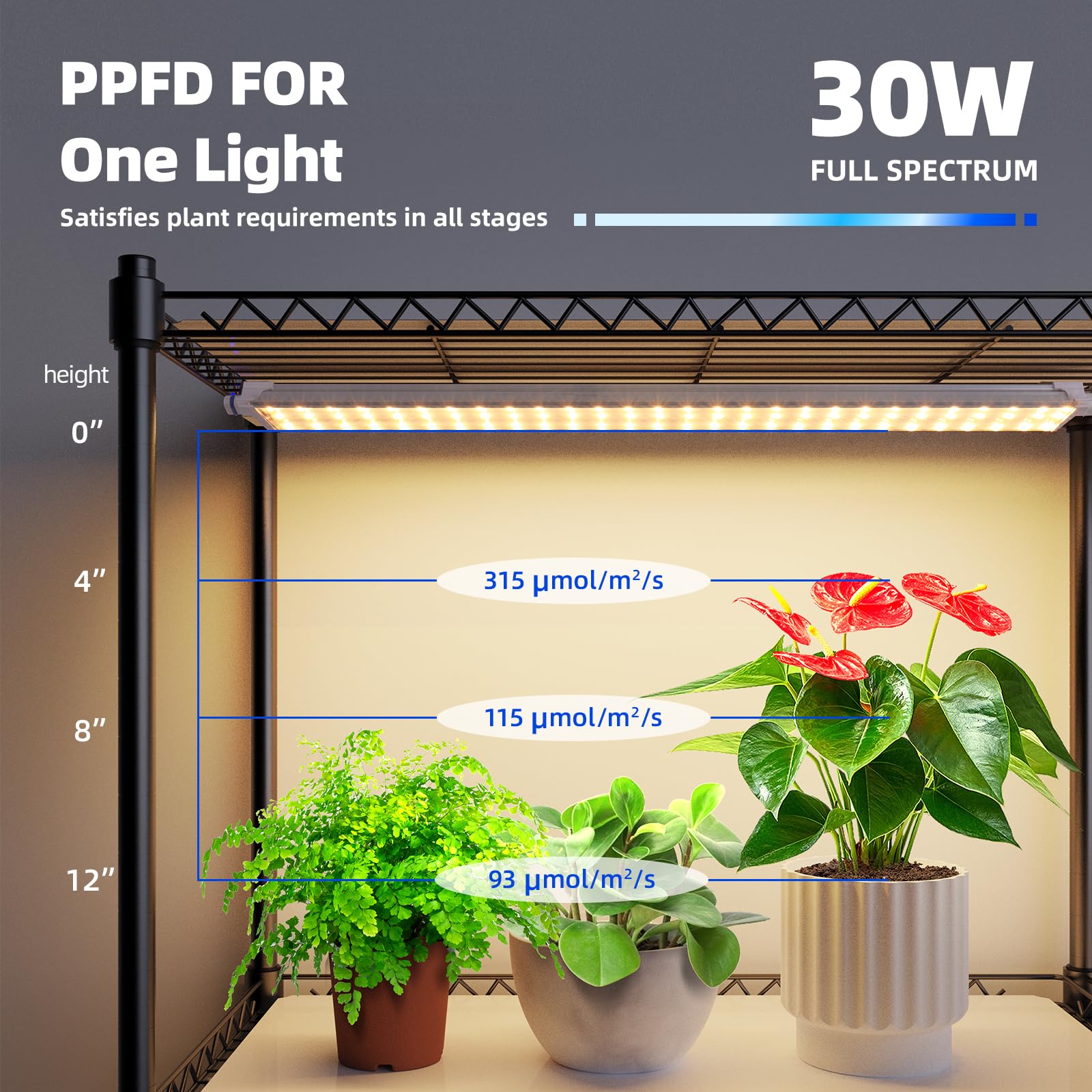 6-Tier Plant Stand with 2020T LED Grow Lights,29.5x13.8x71IN,30W,Full Spectrum,5 lights,CJ30GCR