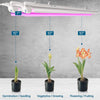 Barrina LED Grow Light 144W(6 x 24W 800W Equivalent) 2ft T8 Integrated Bulb+Fixture Plant Lights 6-Pack