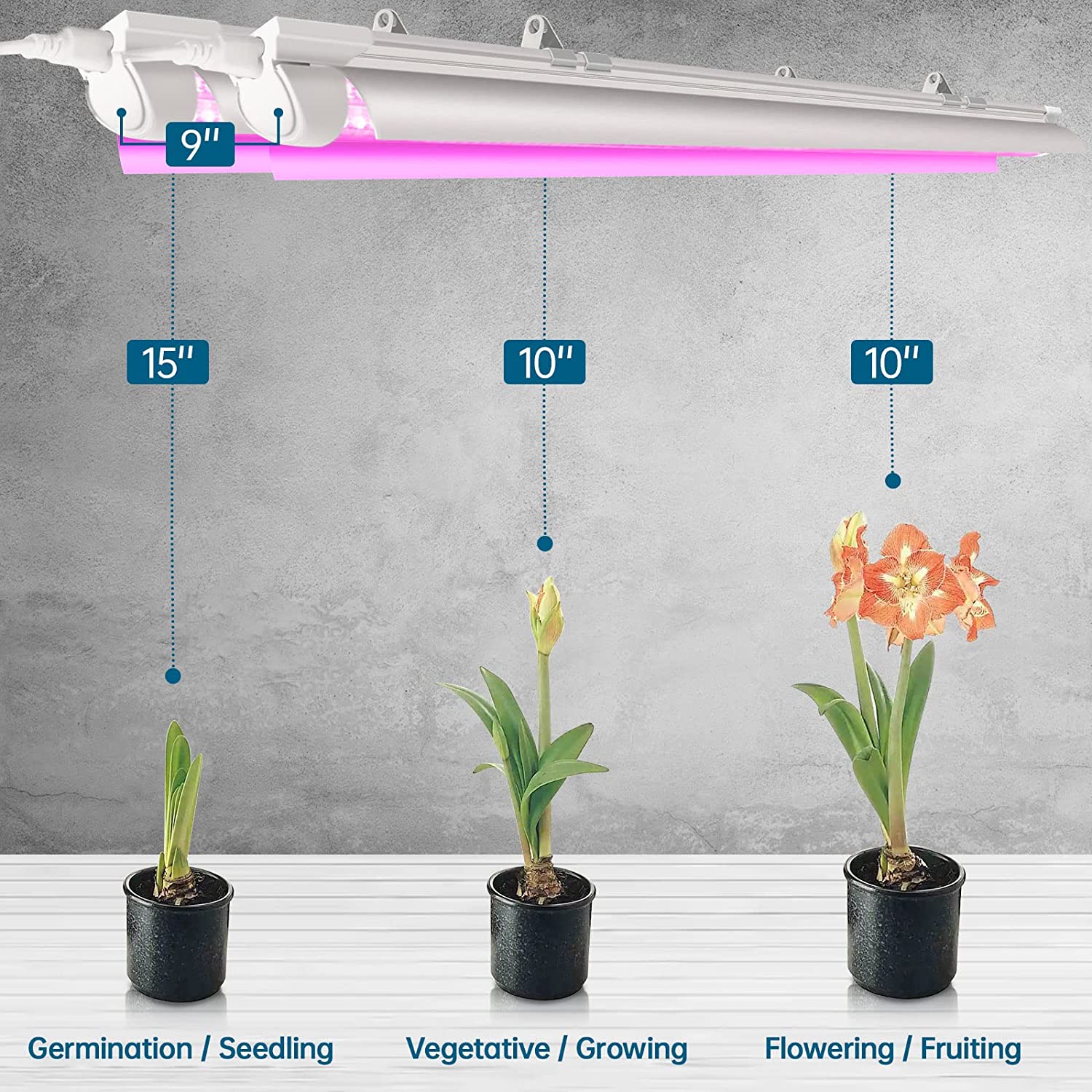 T8 LED Grow Light,4FT,42W,Pink,Full Spectrum,Linkable,Reflector Design